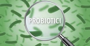 Probiotici: cosa sono e a che cosa servono?