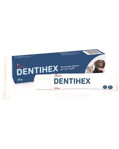 Dentihex Gel Dentale Ades C/g