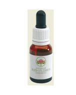 Bush Biotherapies Pty Grey Spider Flower Austr 15ml