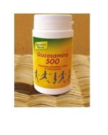 Natural Point Glucosamina 500 100 Capsule
