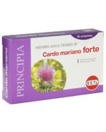 Cardo Mariano Forte 60cpr