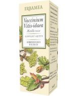 Vaccinium Vitis Idaea Bio 50ml