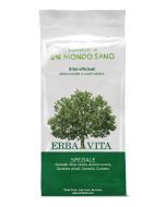 Erba Vita Group Fruit Tea Speziale 100 G