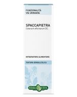 SPACCAPIETRA TINT IAL 50ML EBV