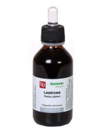 Lampone mg Bio 100ml