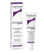 Noreva Italia Cicadiane Crema 40 Ml