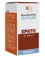 Epato 60tab