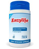 Natural Point Enzylife 90 Capsule