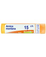 ARNICA MONTANA 15CH GR