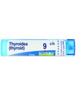 Thyroidea 9ch gr