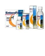 Drn Enterofilus 12x10ml