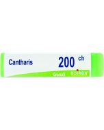 CANTHARIS 200CH GL